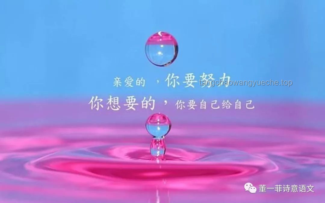 清晨正能量引领未来趋势，干净语录成社交新风尚